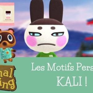 Les motifs persos de KALI et Japonais : Animal Crossing New Horizons (ID et QR)